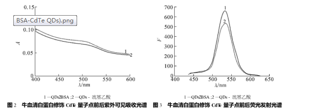 牛血清白蛋白修饰水溶性碲化镉量子点(BSA-CdTe QDs)作为荧光探针用于生物大分子的检测|齐岳生物供应