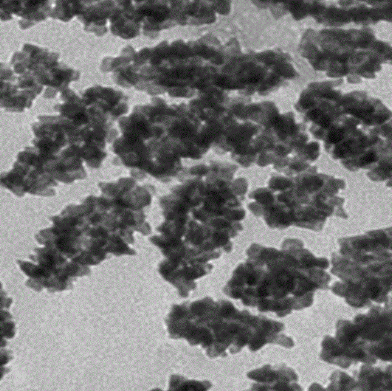 Gold nano biconical  金纳米双锥-金银纳米复合材料，金纳米双锥颗粒掺杂液晶材料