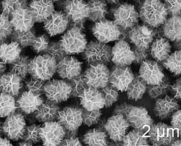 具有光热、光声效应的异质结（Au-CuInS/Au-Pt sheet可用于生物成像）