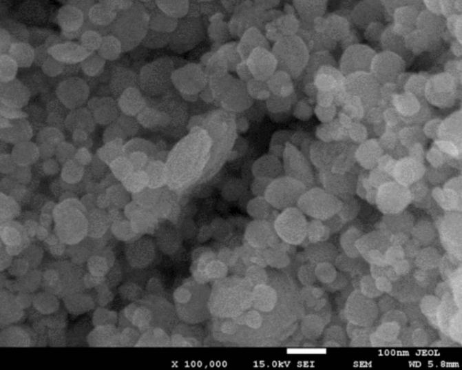 聚乙烯亚胺修饰的四氧化三铁磁性纳米颗粒(PEI@Fe3O4) | PEI coating Fe3O4 nanoparticles（10nm/150nm）