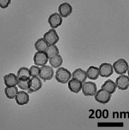 介孔二氧化硅表面修饰CY7和NGR多肽的定制合成技术-西安齐岳生物