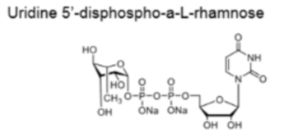 UDP糖| CAS:1526988-33-9;UDP-L-Rha;尿苷5′-二磷酸-a-L-鼠李糖二钠盐；UDP-鼠李糖