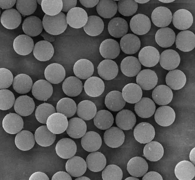 链霉亲和素标记的四氧化三铁磁珠  SA-Biotin Modified Fe3O4 Microspheres