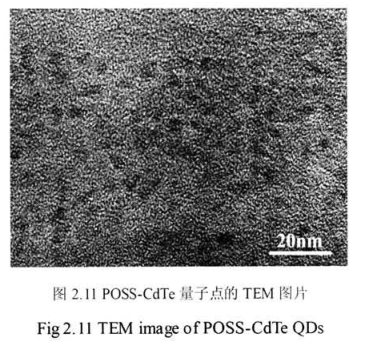 OM-POSS修饰的高生物相容性碲化镉荧光量子点(POSS-CdTe QDs)具有良好的光稳定性齐岳生物供应