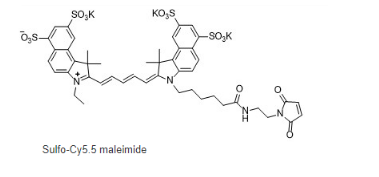 Sulfo-cyanine5.5 maleimide，磺化Cy5.5-马来酰亚胺，水溶性Cy5.5 maleimide（MAL）