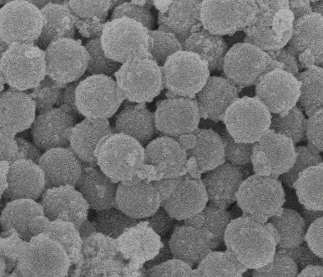 PEG包裹纳米金，Gold Nanoparticles PEG（表面修饰活性基团）定制合成