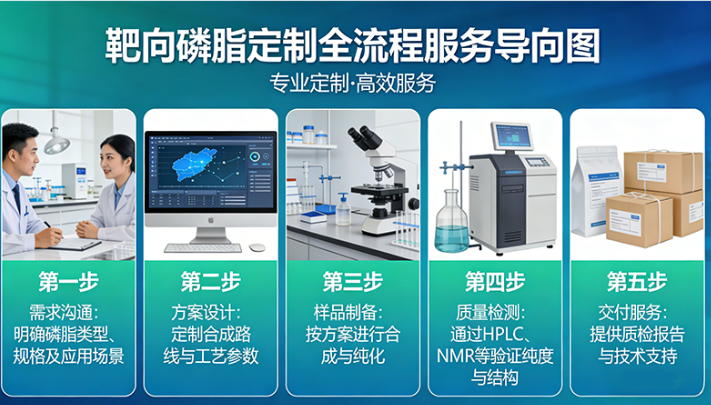 靶向磷脂分子构建与定制服务丨脑靶向定制