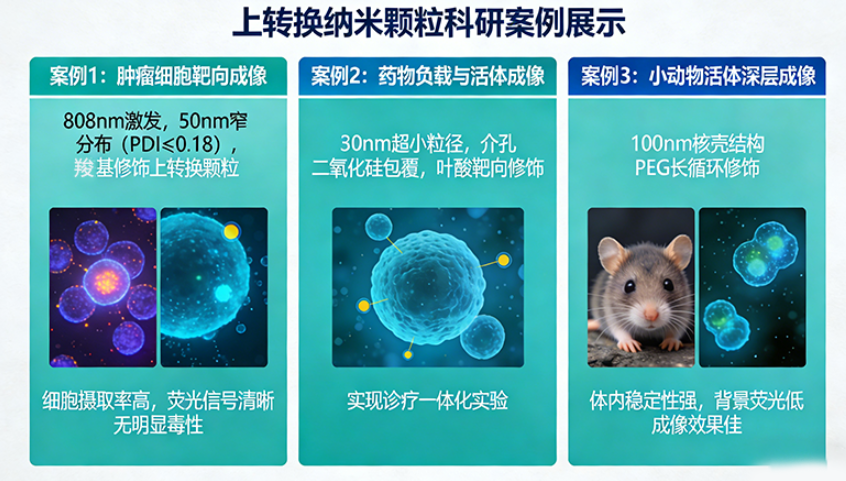 上转换定制方案｜粒径可控与表面修饰一体化服务