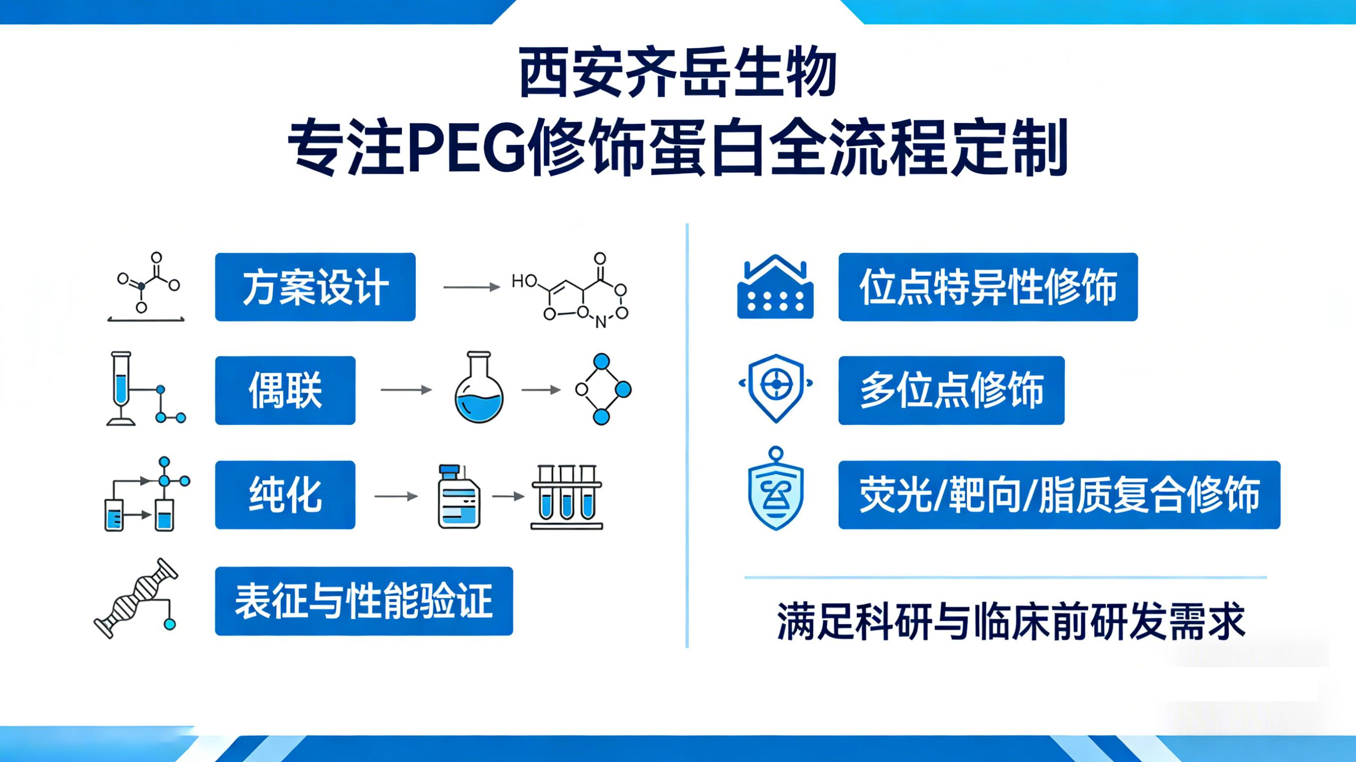 西安齐岳生物PEG修饰蛋白定制服务