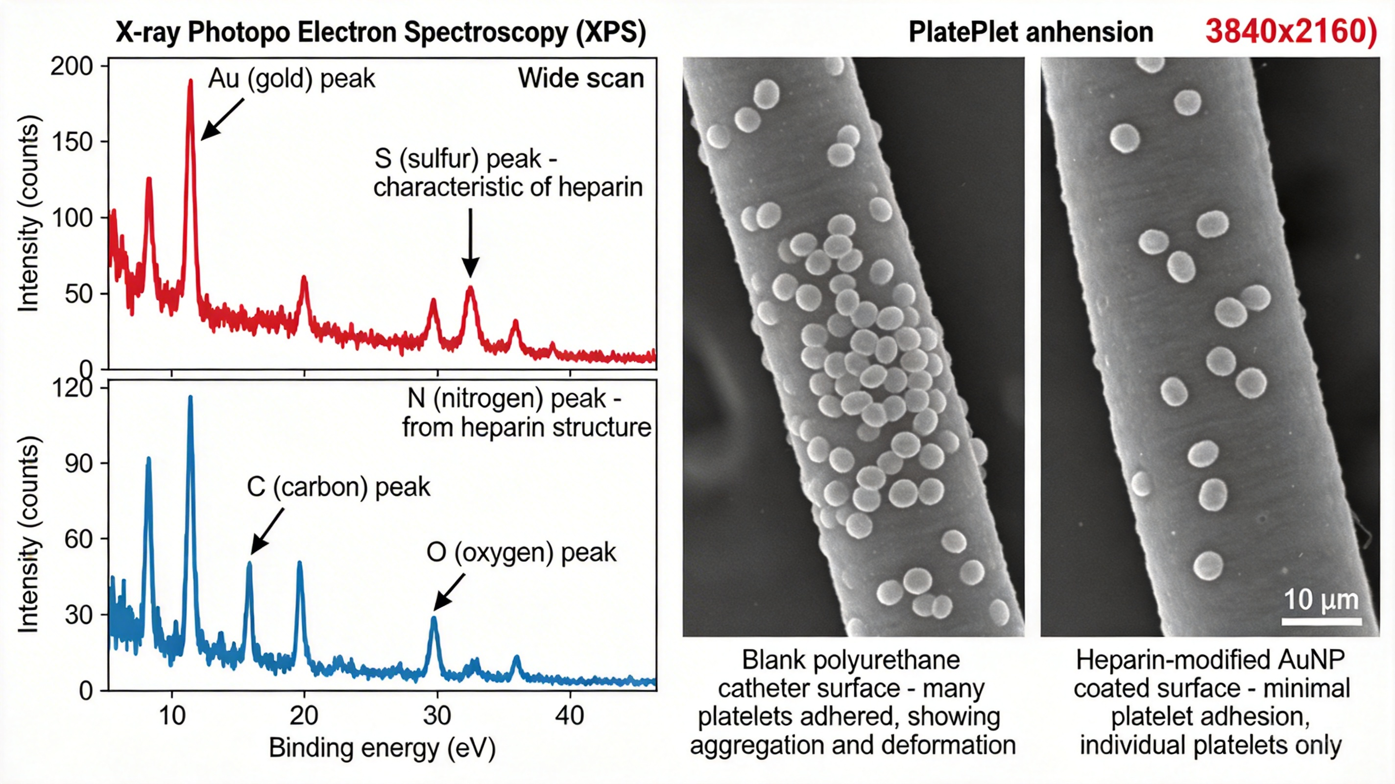 纳米金修饰糖类定制服务——西安齐岳生物