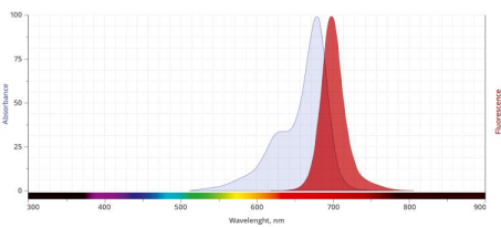 Cy3/Cy5/Cy7荧光标记microRNA(微核糖核酸)脂质体   （齐岳生物分享）