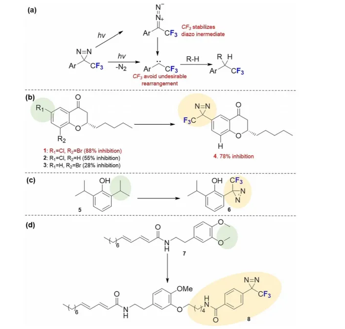 介绍一种含氟二嗪试剂用于结构蛋白质组学的亲和力标记