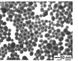 CS@Fe3O4 nanoparticles（150nm）  壳聚糖修饰四氧化三铁纳米颗粒（1500nm）