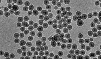 介孔二氧化硅包四氧化三铁纳米颗粒（50nm）