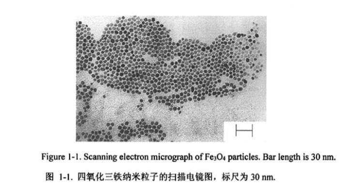 CS@Fe3O4 nanoparticles（50nm）   壳聚糖修饰四氧化三铁纳米颗粒（50nm）