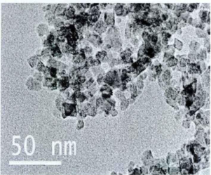 纳米定制PVP@Fe3O4 nanoparticles(10nm)