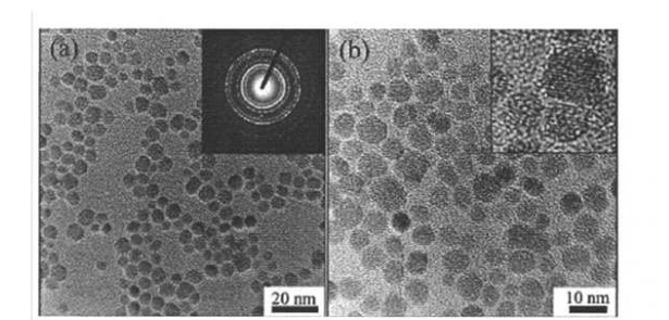 CS@Fe3O4 nanoparticles（30nm）  壳聚糖修饰四氧化三铁纳米颗粒（30nm）