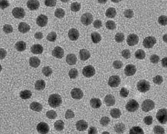 磁性PVP@Fe3O4 nanoparticles(50nm)