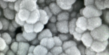 PAA @Fe3O4 nanoparticles(10nm） 聚丙烯酸修饰四氧化三铁