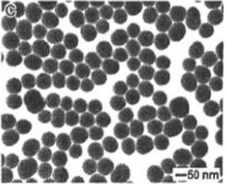 CS@Fe3O4 nanoparticles（200nm）   壳聚糖修饰四氧化三铁纳米颗粒（200nm）