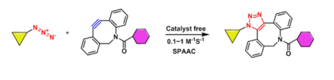 生物正交化学DBCO、BCN、Azide、Alkyne、TCO等生物正交反应试剂