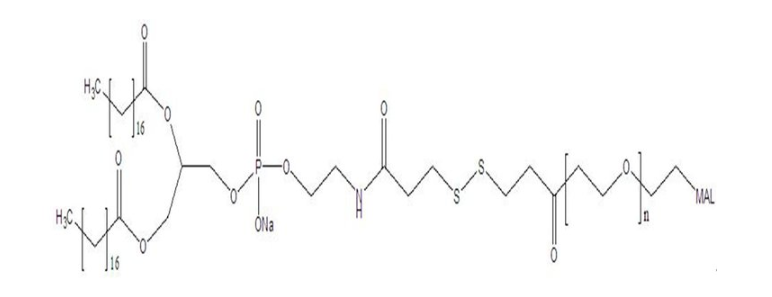 DSPE-SS-PEG2000-MAL 二硬脂酰基磷脂酰乙醇胺-SS-聚乙二醇-马来酰亚胺 DSPE-SS-PEG-MAL的应用介绍