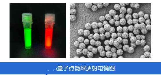 量子点微球Quantum dot microsphere QDC-1（CdSe/CdS量子点@PS荧光微球）