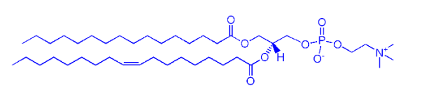 POPC磷脂  POPC/ CAS:26853-31-6/1-棕榈酰基-2-油酰基卵磷脂 的结构式