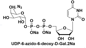 UDP-6-N3-Galactose