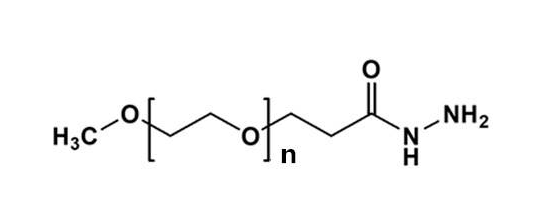 mPEG-Hydrazide