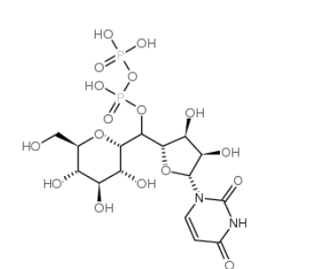 UDP-葡萄糖,UDP-D-glucose,CAS:133-89-1