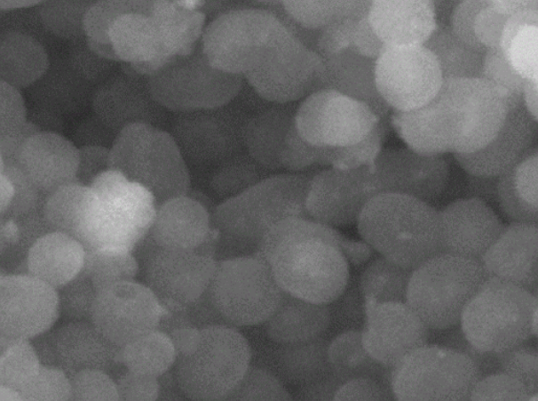 氨基修饰二氧化硅包裹四氧化三铁微球粉末
