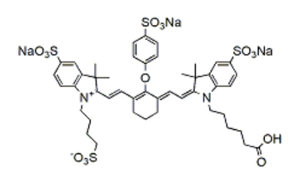 IRDye 800CW Carboxylic acid