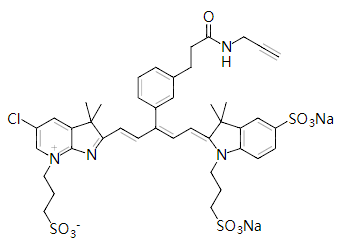 近红外荧光染料